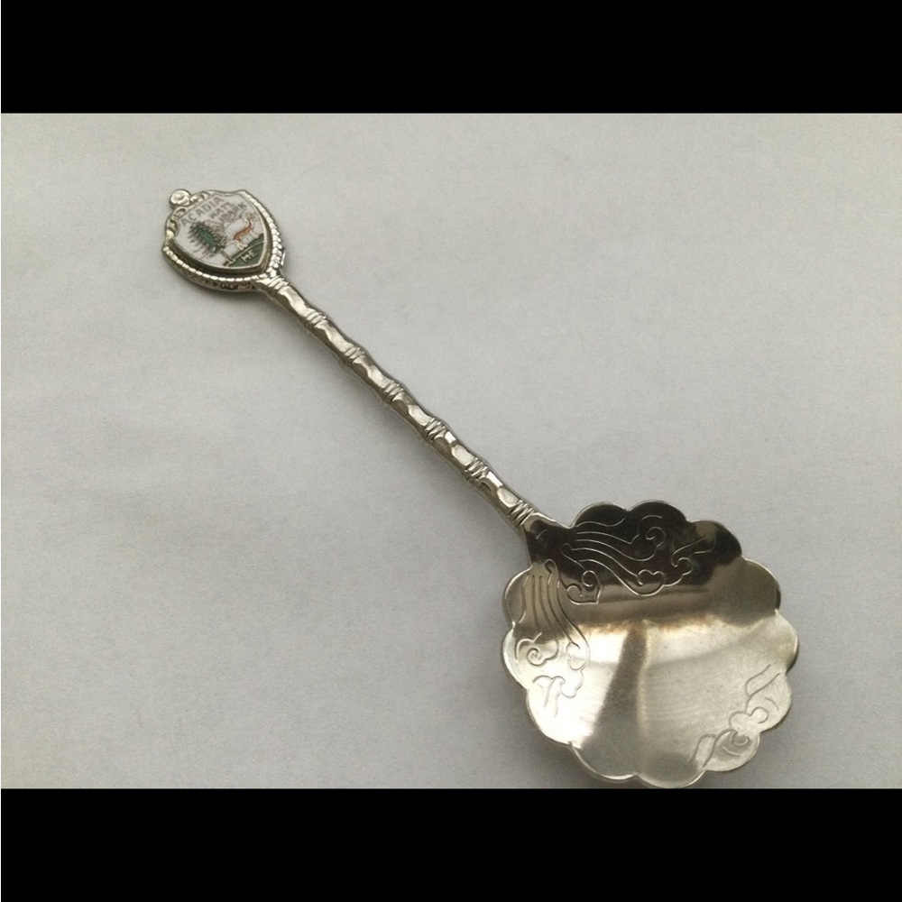 Acadia National Park Maine Souvenir Small Spoon